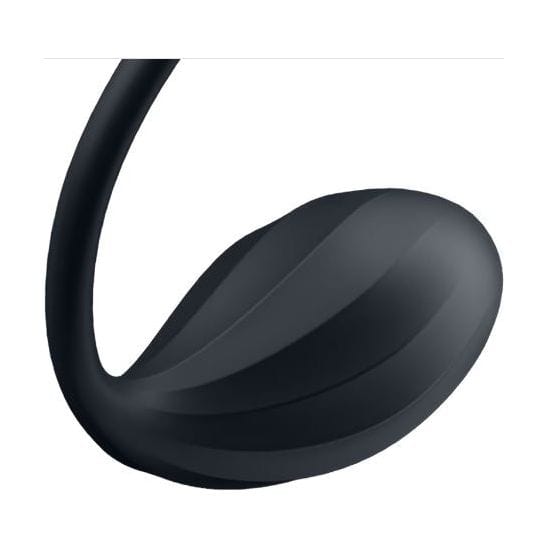 Vibrateur à Distance - Satisfyer - Ribbed Petal Connect App Sensations Plus Sensations plus