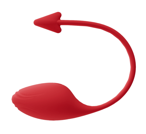 Vibrateur à Distance - Secwell - Succubus App Vibrating Egg Secwell Sensations plus